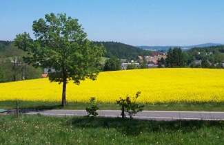 Oberlausitz